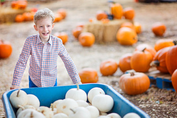 Canvas Print - kid at pumpkin patch