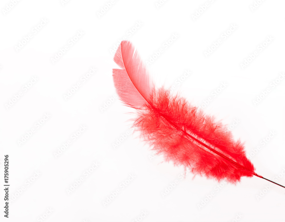 赤い羽根。 赤い羽根共同募金 Stock Photo | Adobe Stock