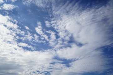 Wall Mural - scene of powerful free form white cloud as per imagination on bright blue sky background