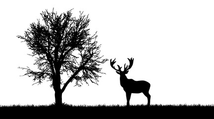 Canvas Print - Vector silhouette of deer in forest on white background.