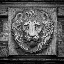Lion Head Relief On The Facade
