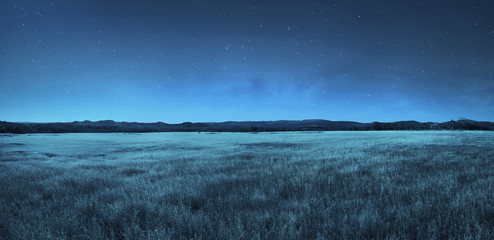 meadow landscape at night time