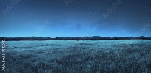 Plakat Krajobraz łąka w czasie nocy