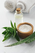 aloe vera and cosmetic inredients on white background