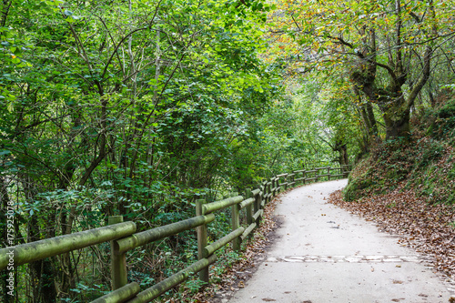 Ruta del Alba. Parque Natural de Redes, Asturias, España.
 © LFRabanedo