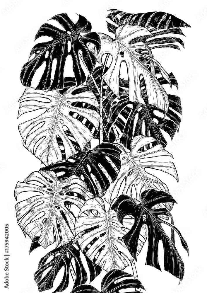 philodendron micans green Philodendron hederaceum 'Micans' – The Victorian Atlanta main image 0