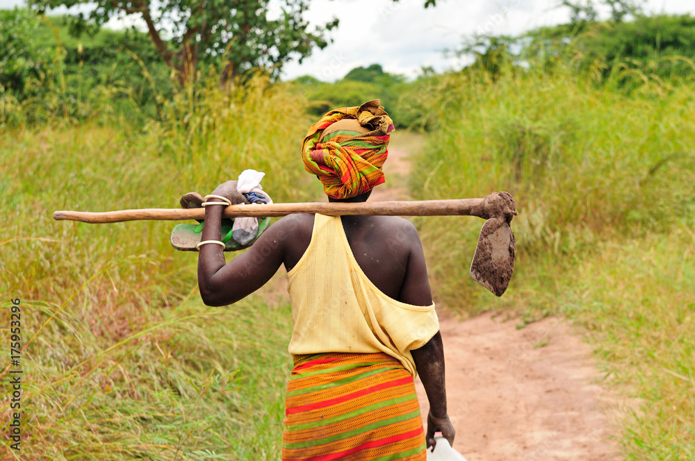 African farmer woman - obrazy, fototapety, plakaty 