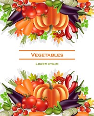 Wall Mural - Vegetables banner autumn harvest Vector. Realistic pumpkin, eggplant and tomatoes. Fall Season illustrations