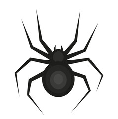 Wall Mural - Spider icon is a flat style. Isolated on white background. Vector illustration