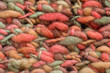 © Pixel Stories/Stocksy - Warm color wool pattern macro