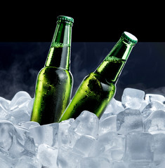 Wall Mural - Cold bottle of beer with drops in ice cubes isolated on black background