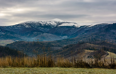 grassy meadow in mountains with snowy peaks. gorgeous and unusual countryside scenery in late autumn