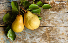 Pears On Rustic Wooden Background. Autumn Harvest With Copy Space
