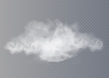Fog Or Smoke Isolated Transparent Special Effect. White Vector Cloudiness, Mist Or Smog Background. Vector Illustration