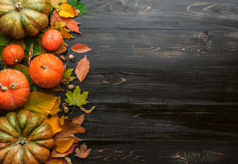 autumn background with pumpkins, autumn leaves, hops and oak acorns lying on a black wooden background