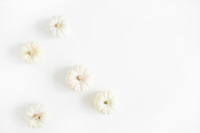 White Autumn Pumpkins. Fall Minimal Concept. Flat Lay, Top View. Christmas Background.