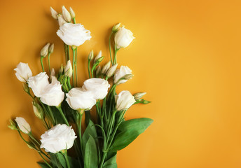 Canvas Print - Beautiful flowers on color background