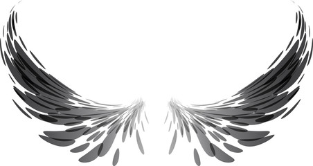 Black wings on white