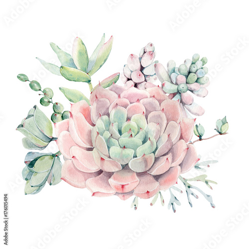 Cuadros en Lienzo Watercolor vintage succulents bouquet