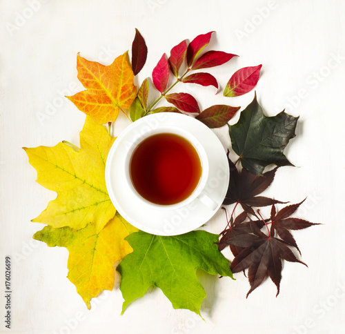 Plakat Filiżanka herbata i jesień kolorowi liście