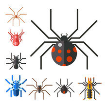 Spider Web Silhouette Arachnid Fear Graphic Flat Scary Animal Design Nature Insect Danger Horror Halloween Vector Icon.