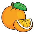 Orange Cartoon
Illustration of cute cartoon orange.