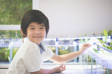 Wall Mural - Cute Asian child enjoy  watching fish tank on a table