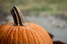 Close-Up Pumpkin With Stem
