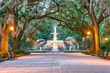 Savannah Georgia Fountain