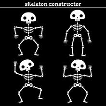 Funny Human Skeleton.
