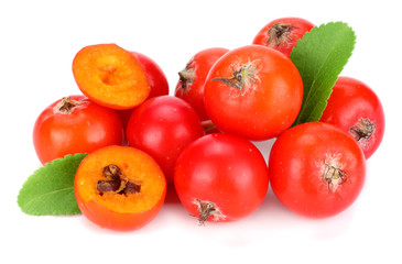 red rowan with slice and green leaf isolated on white background. macro