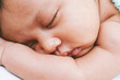 © noorhaswan - Close Up Portrait Of Sleeping Baby