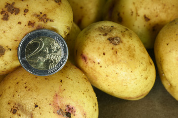 Sticker - patates pomme de terre agriculture culture planete environnement bio alimentation recolte euros argent finances