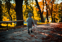 A Little Boy In A Gray Knitted Sweater With A Gray Teddy Bear Walking Along The Autumn Park