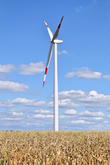 Wall Mural - Wind powered generators - green energy