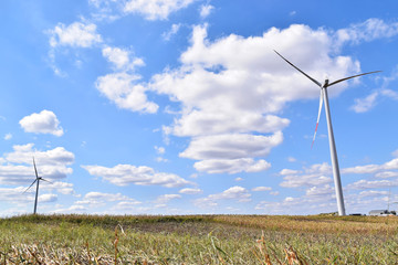 Wall Mural - Wind powered generators - green energy