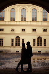 Wall Mural - Beautiful pair of lovers walking in the autumn Park