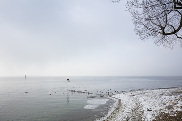 Wall Mural - Seeufer im Winter, Lindau, Bodensee, Bayern, Deutschland, Europa