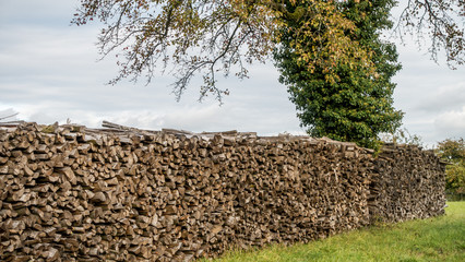 Brennholzlager im Herbst