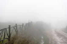 Uneven Road, Hedge, Fog In The Armenian Village Closeup