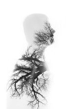 Portrait Of Man And Nature Double Exposure With Tree