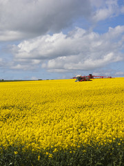 red crop sprayer