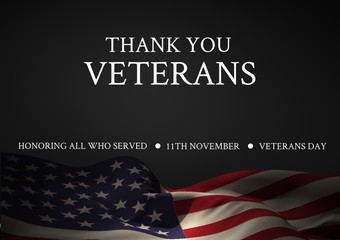 veterans day flag