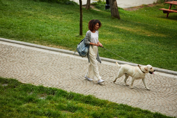 Wall Mural - Pretty young lady walking with dog in park in the morning