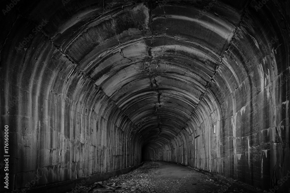 A deep and mysterious dark tunnel invites the visitor to explore - obrazy, fototapety, plakaty 