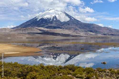 Plakat Parinacota wulkan i Chungara jezioro, Lauca park narodowy, Chile
