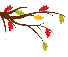 Wall Mural - Vector Branch with Autumn Oak Leaves