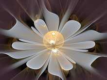 Fractal Flower Abstract Computer-generated Image