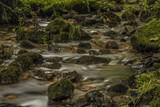 Fototapeta  - Usovicky creek near Marianske Lazne town