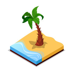 Wall Mural - Green palm tree on beach isometric 3D icon. Public park decorative plant vector illustration. Nature map element for summer parkland landscape design.